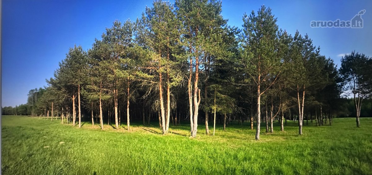 Nuostabioje vietoje, Širvintų rajone, Juodkų - nuotraukos Nr. 24