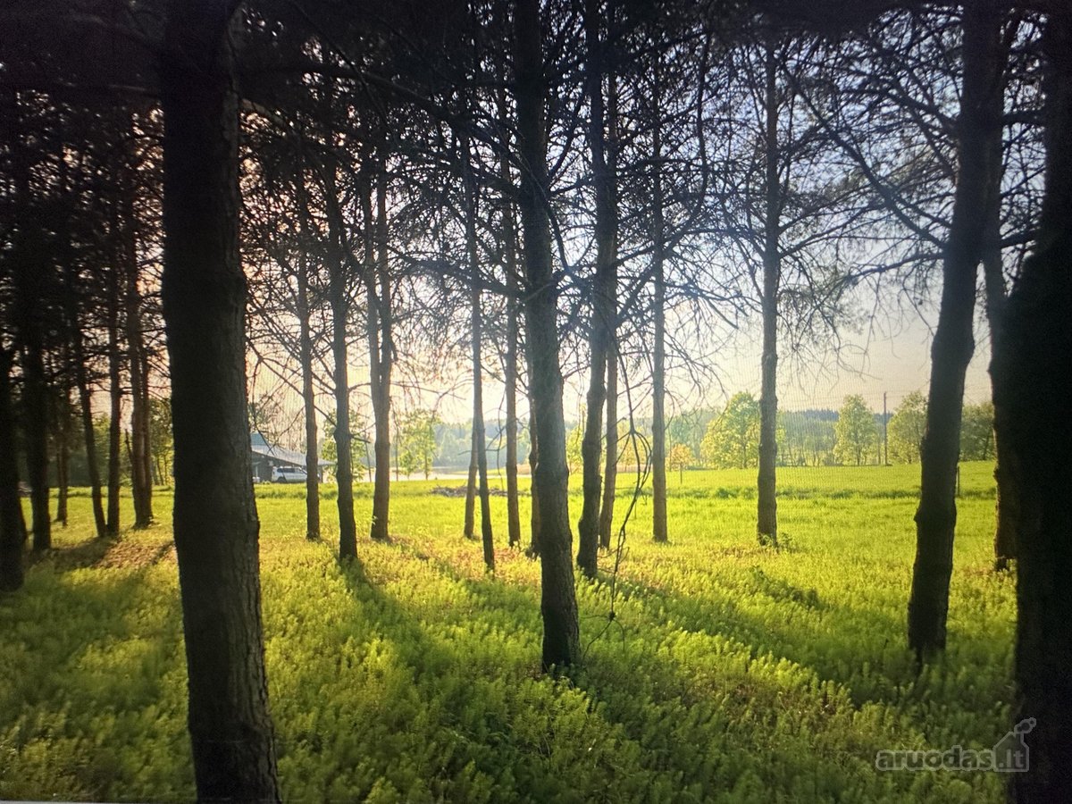 Nuostabioje vietoje, Širvintų rajone, Juodkų - nuotraukos Nr. 26