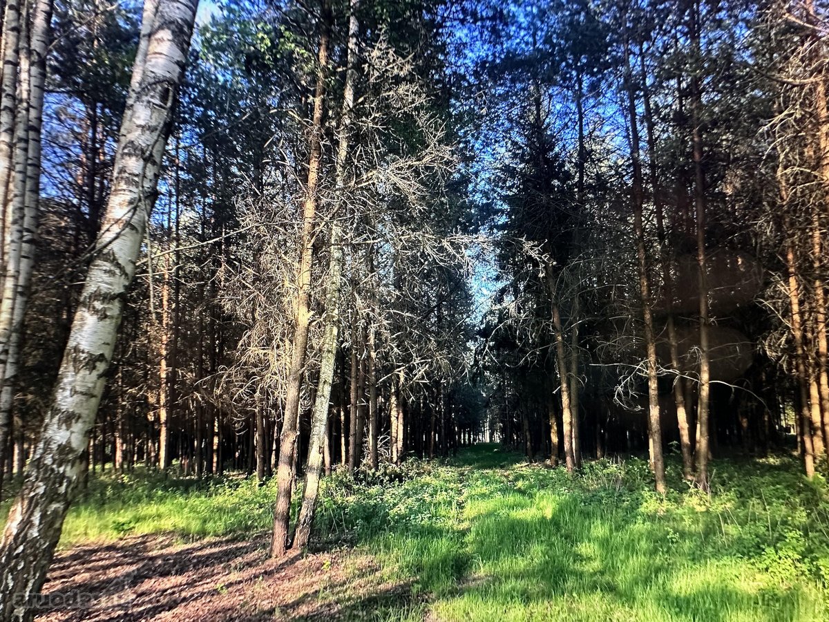 Nuostabioje vietoje, Širvintų rajone, Juodkų - nuotraukos Nr. 27