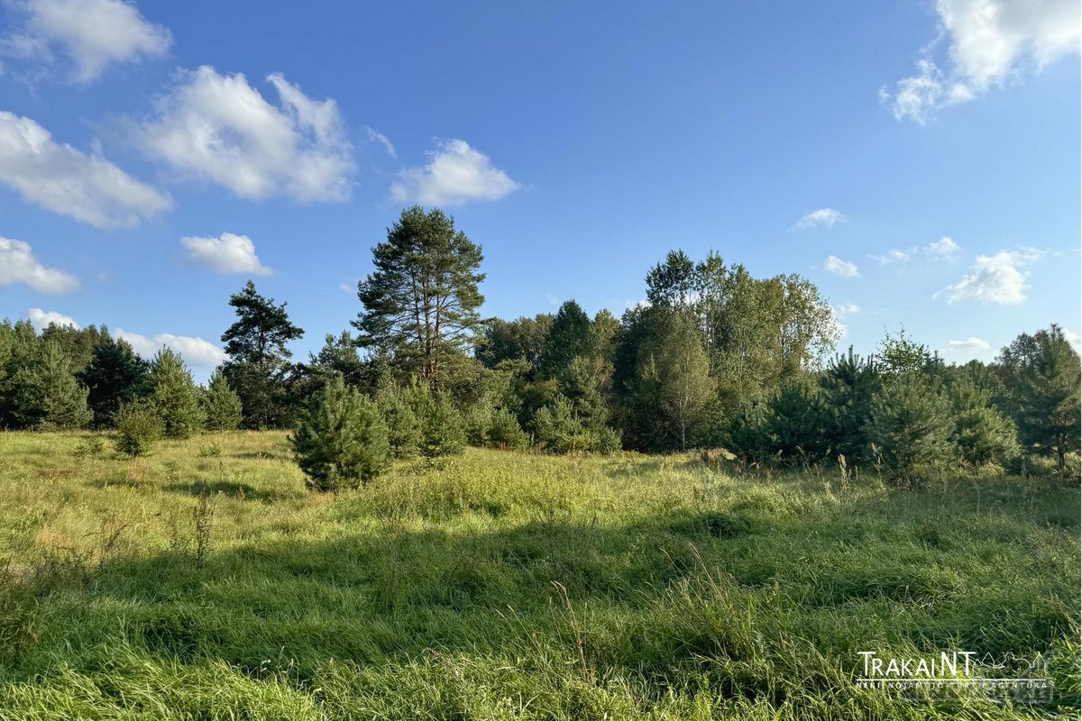 Parduodamas 0,8747 Ha Namų Valdos Sklypas - nuotraukos Nr. 9