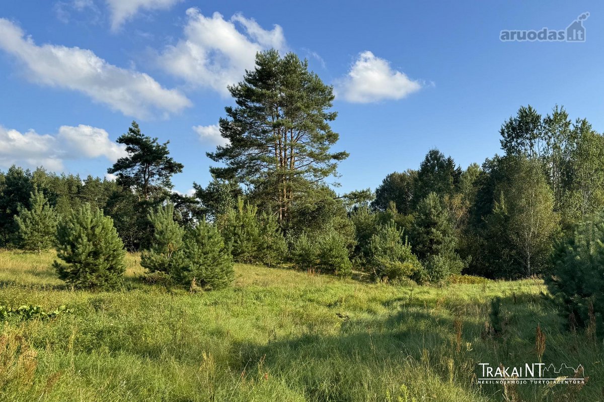 Parduodamas 0,8747 Ha Namų Valdos Sklypas - nuotraukos Nr. 10