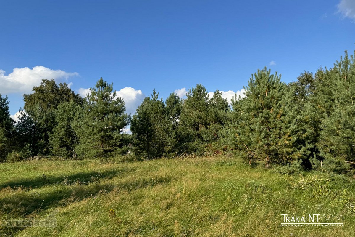 Parduodamas 0,8747 Ha Namų Valdos Sklypas - nuotraukos Nr. 11