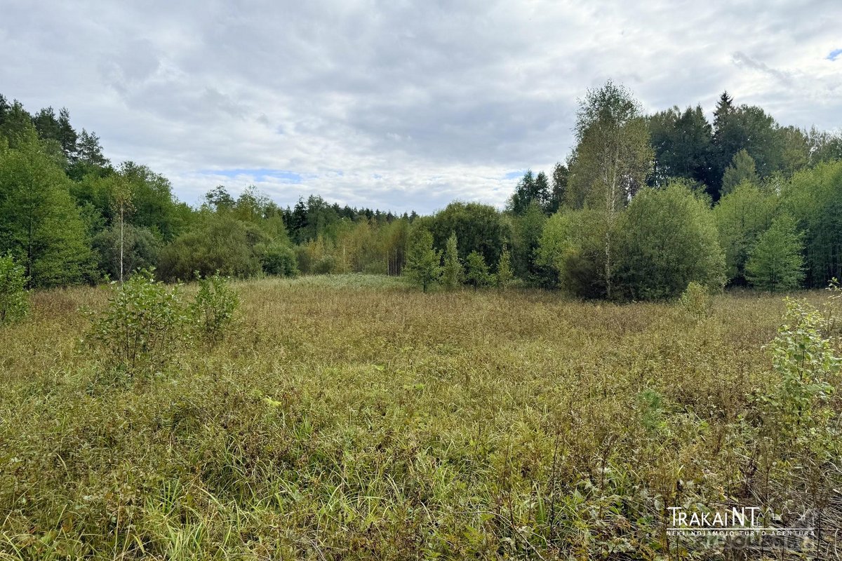 Parduodamas 0,8747 Ha Namų Valdos Sklypas - nuotraukos Nr. 13