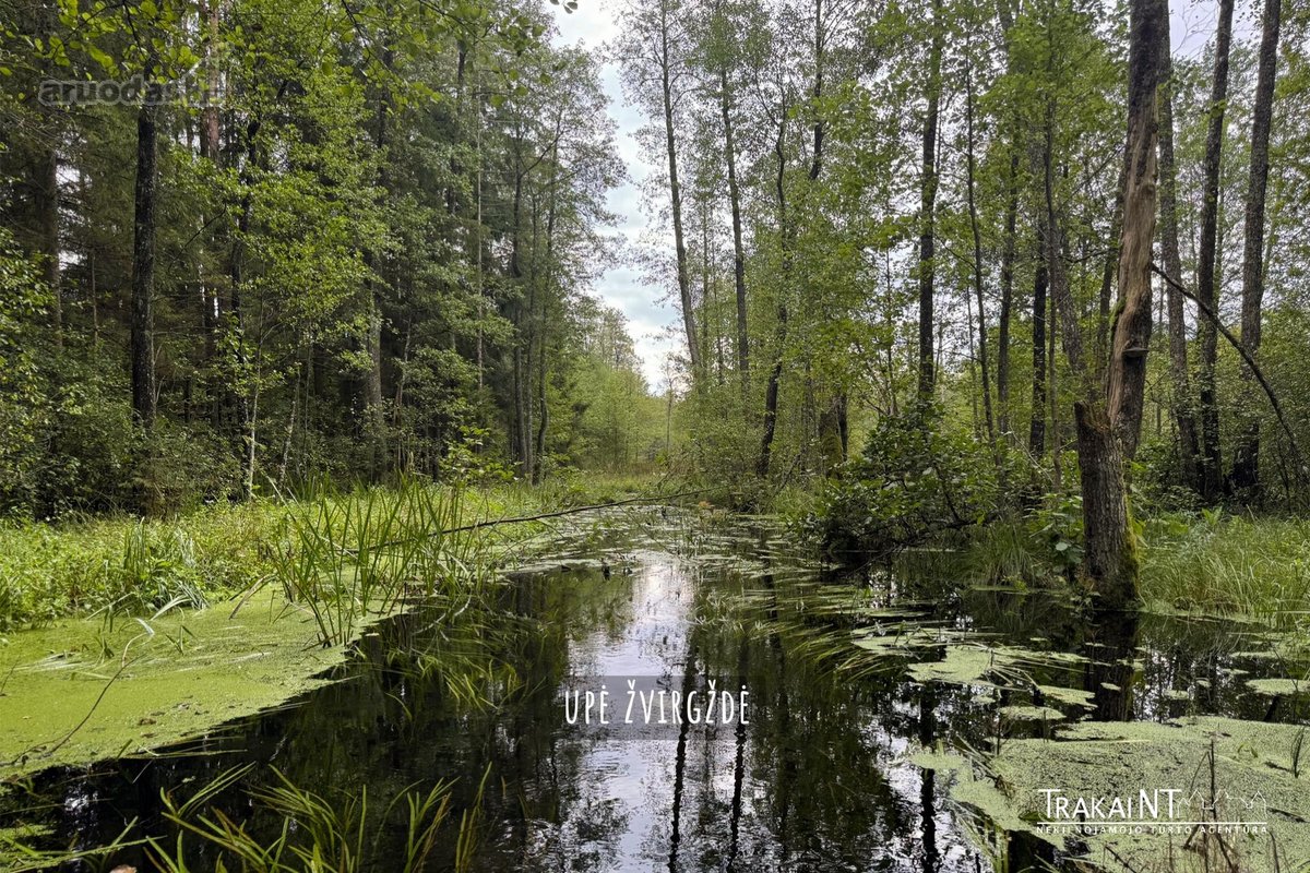 Parduodamas 0,8747 Ha Namų Valdos Sklypas - nuotraukos Nr. 14
