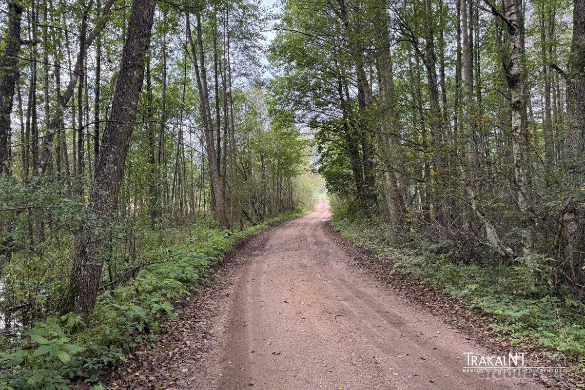 Parduodamas 0,8747 Ha Namų Valdos Sklypas - nuotraukos Nr. 15