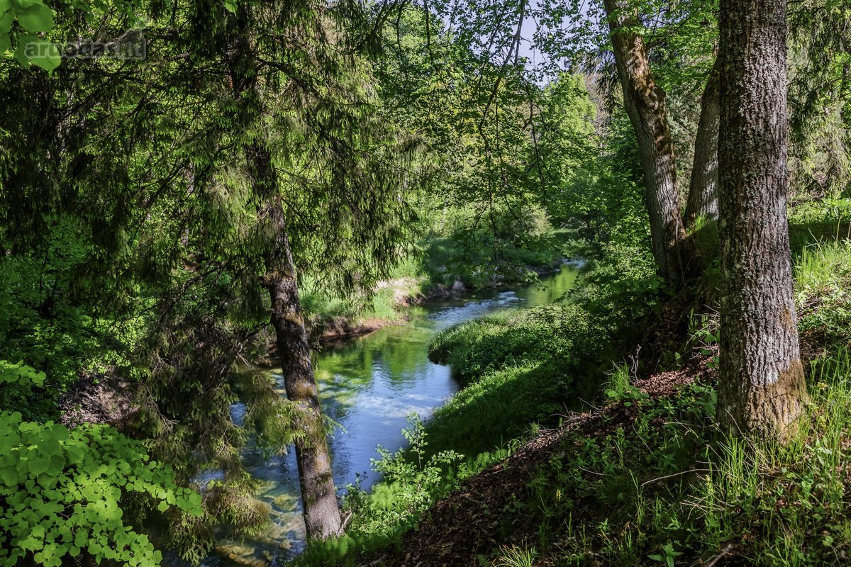 Parduodama Išskirtinė Sodyba Prie Šventosios - nuotraukos Nr. 5