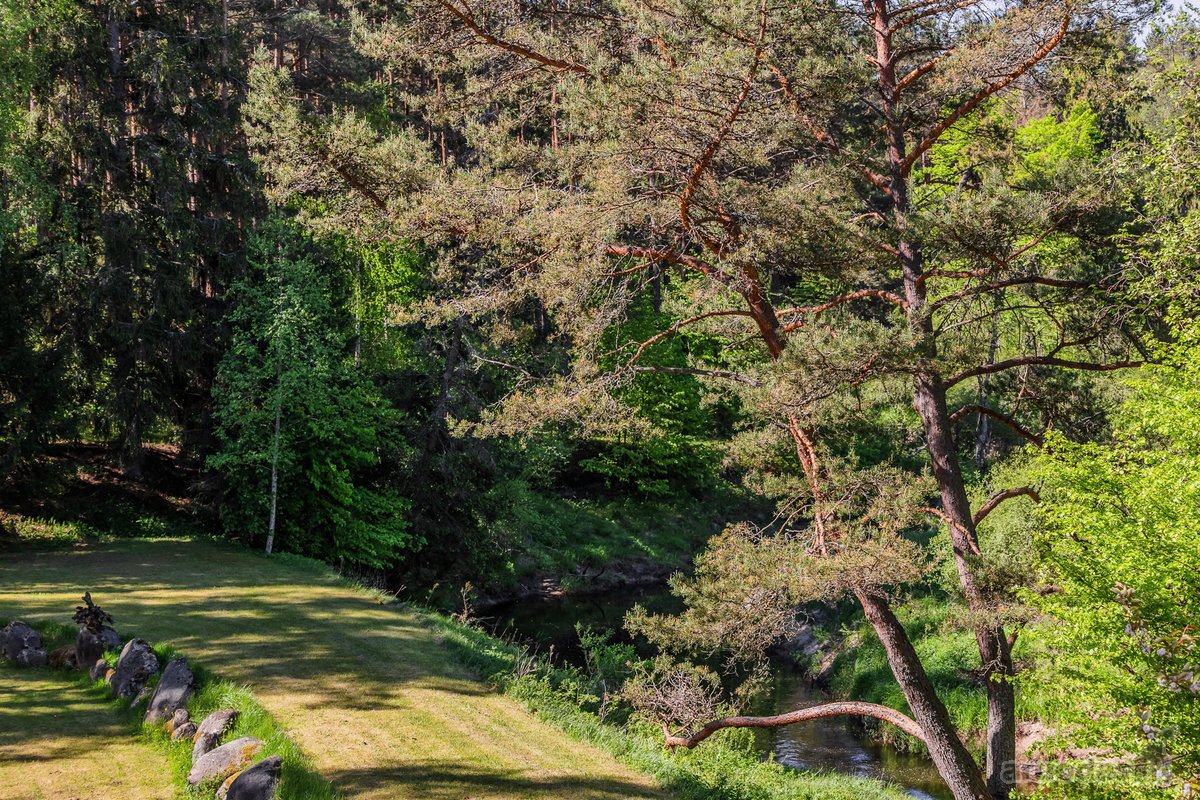 Parduodama Išskirtinė Sodyba Prie Šventosios - nuotraukos Nr. 10