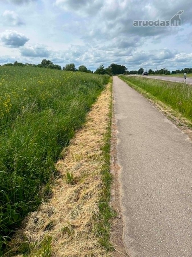 Parduodamas 12,23 arų sklypas Alytaus rajone.  - nuotraukos Nr. 4