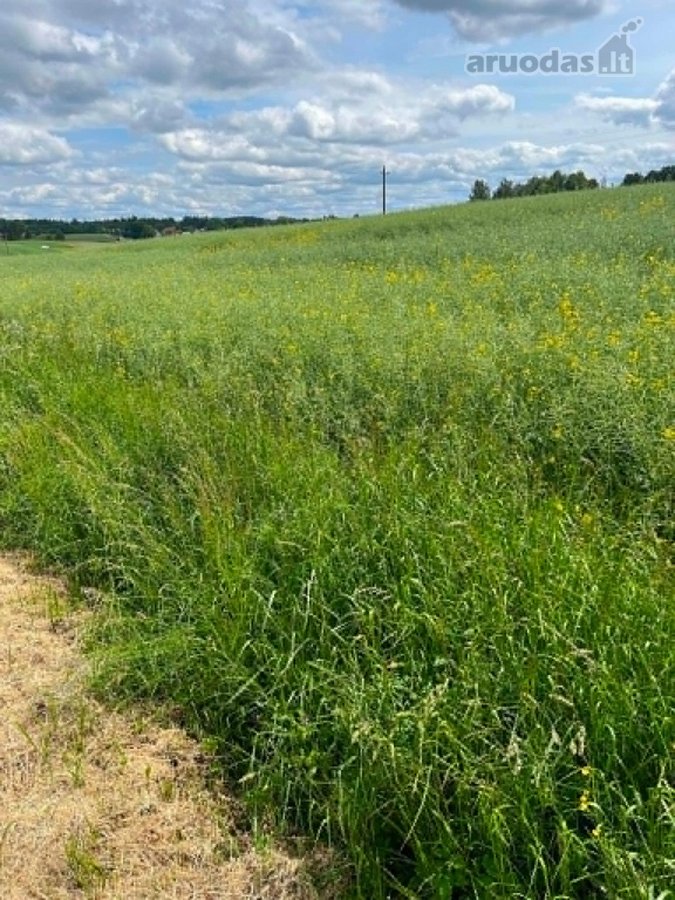 Parduodamas 12,23 arų sklypas Alytaus rajone.  - nuotraukos Nr. 5