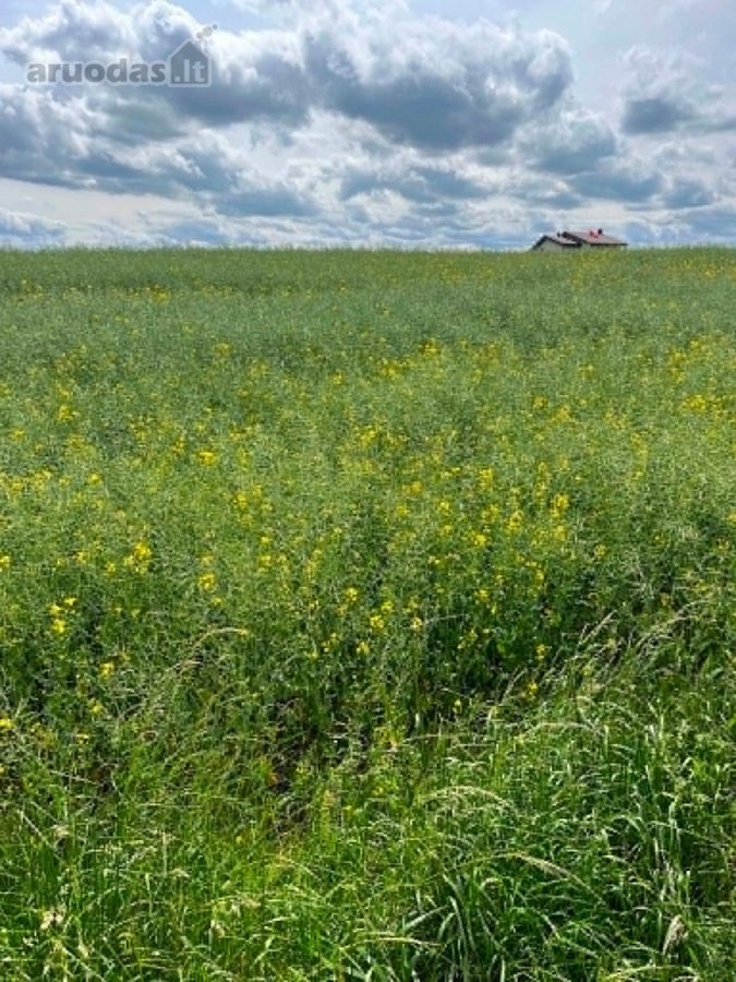 Parduodamas 12,23 arų sklypas Alytaus rajone.  - nuotraukos Nr. 2