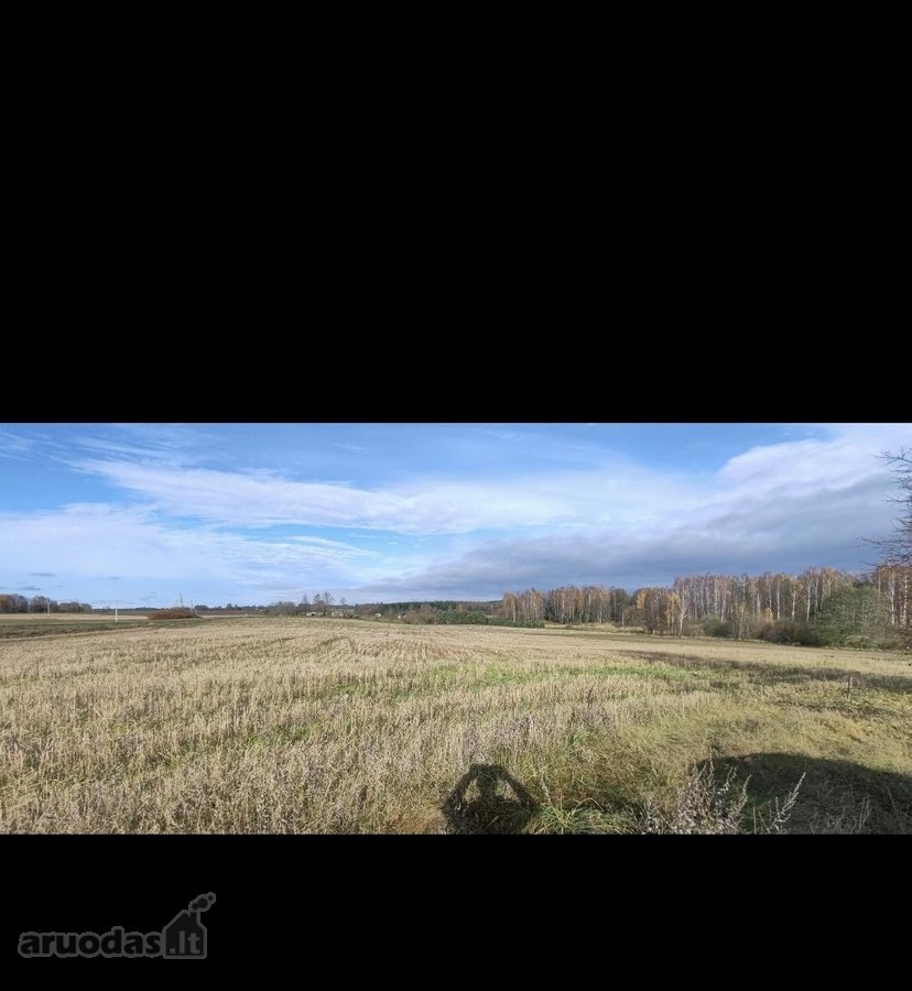 Parduodamas erdvus, net 1,3 hektaro (130 arų) - nuotraukos Nr. 2