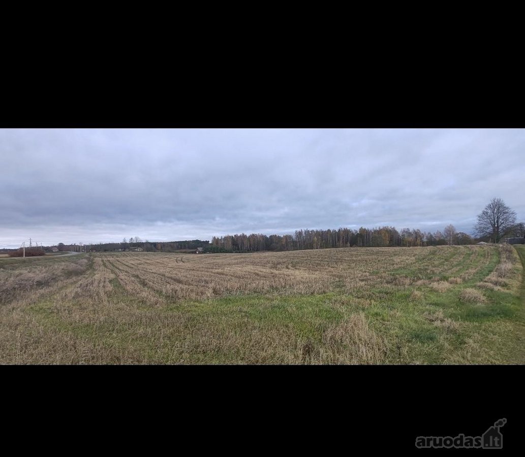 Parduodamas erdvus, net 1,3 hektaro (130 arų) - nuotraukos Nr. 3