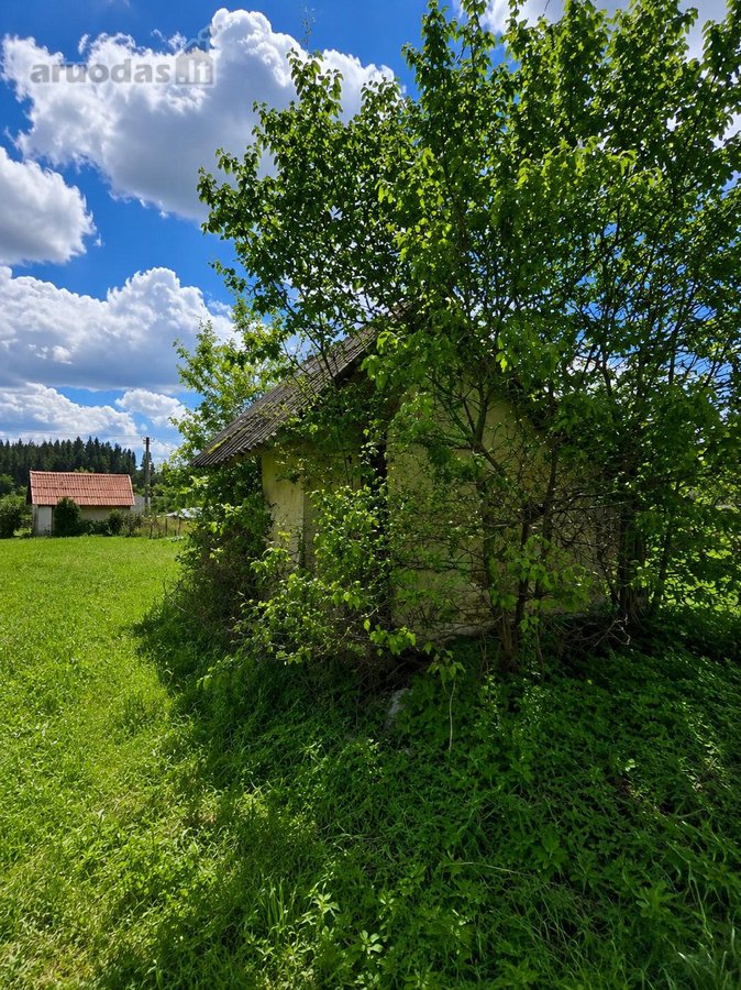 Parduodamas 12,09 aro sklypas sodų bendrijoje - nuotraukos Nr. 9