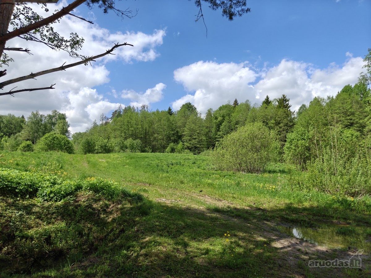 Parduodamas 1,7063 ha sklypas Vilniaus rajone - nuotraukos Nr. 7