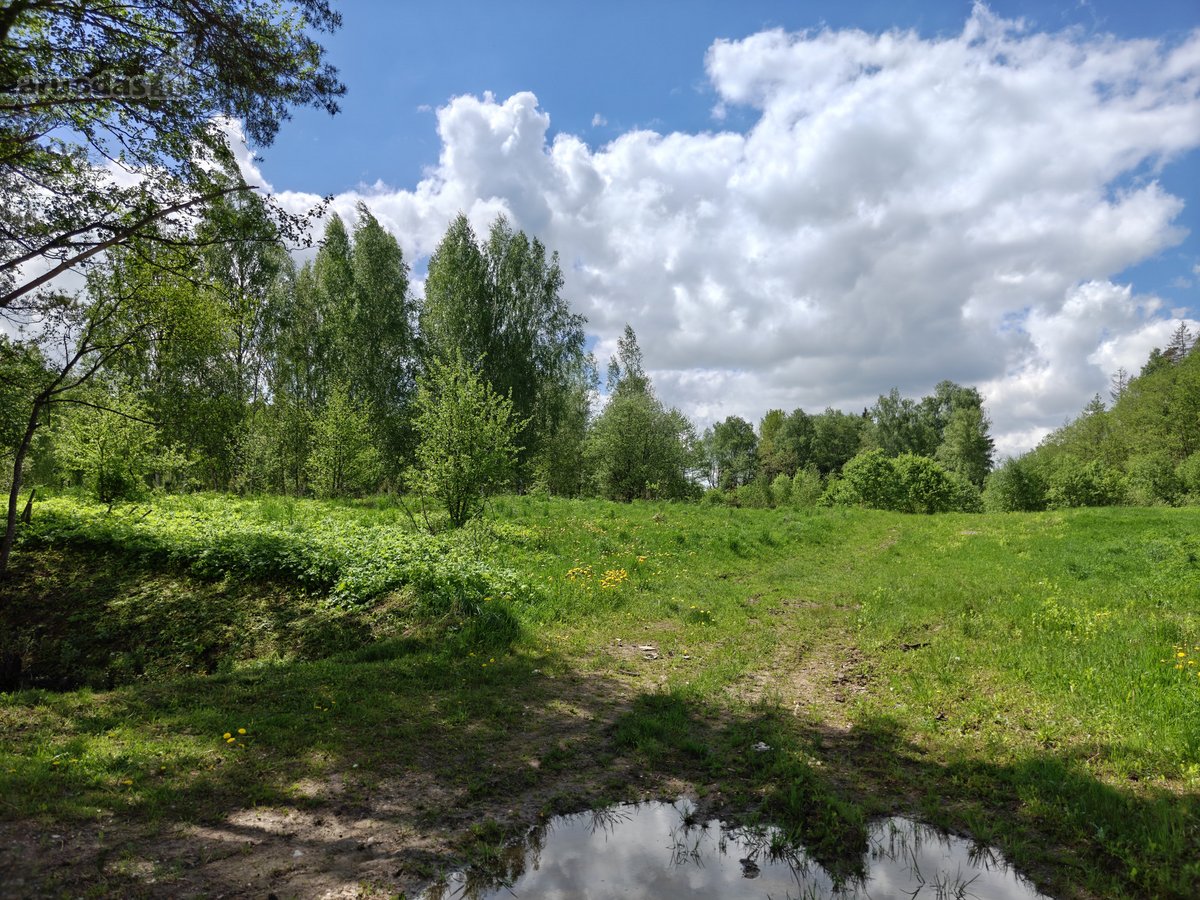 Parduodamas 1,7063 ha sklypas Vilniaus rajone - nuotraukos Nr. 8