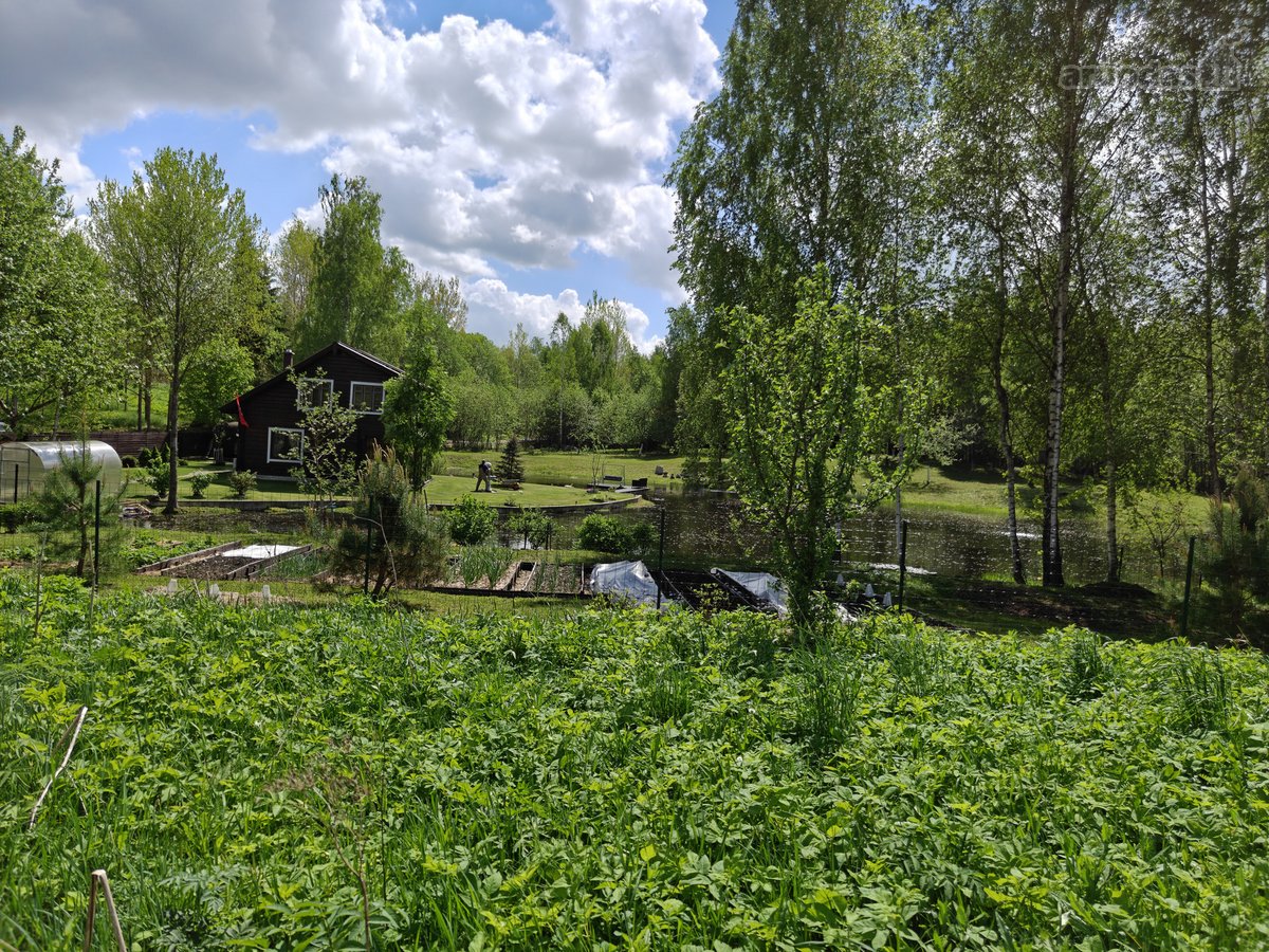 Parduodamas 1,7063 ha sklypas Vilniaus rajone - nuotraukos Nr. 10