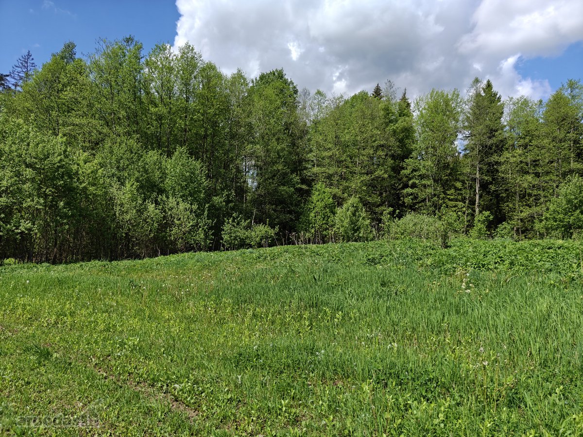 Parduodamas 1,7063 ha sklypas Vilniaus rajone - nuotraukos Nr. 11