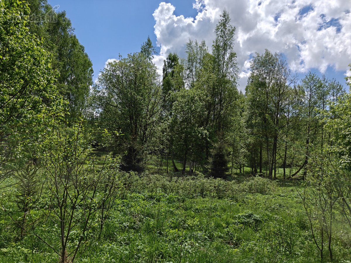 Parduodamas 1,7063 ha sklypas Vilniaus rajone - nuotraukos Nr. 13