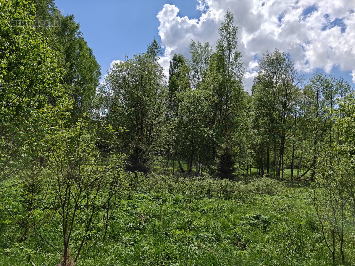 Parduodamas 1,7063 ha sklypas Vilniaus rajone - nuotraukos Nr. 14