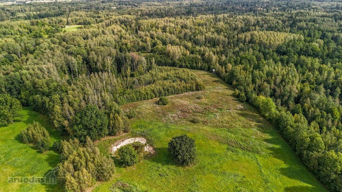 2ha sklypas, šalia miško (žaliamiškio), geras