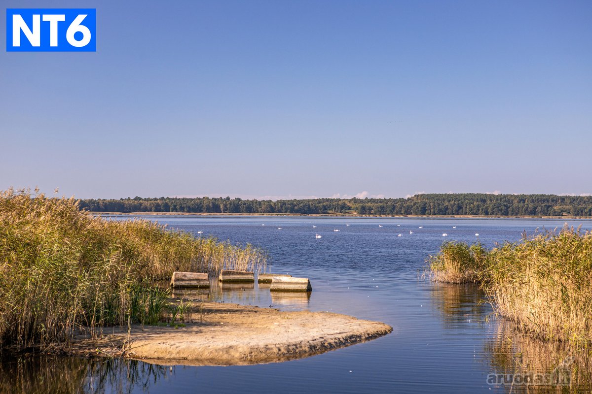  Pirkėjui tarpininkavimo mokestis – netaikomas. - nuotraukos Nr. 20