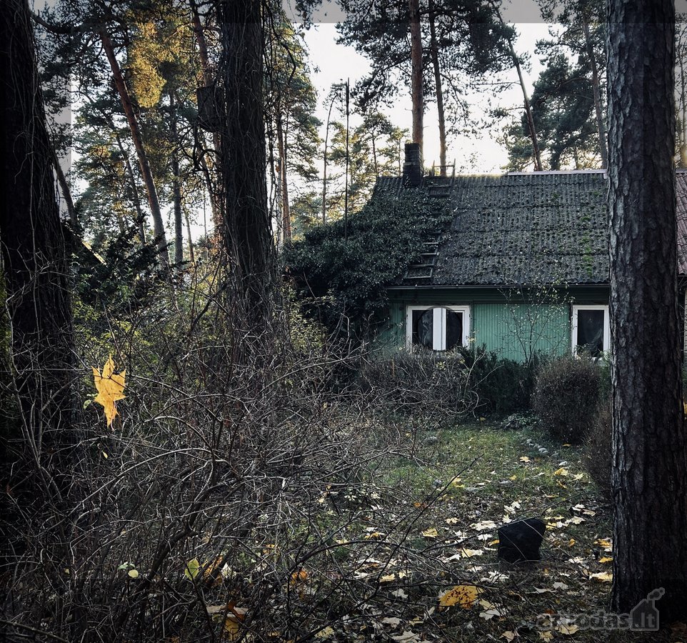 Parduodama Dalis Namo Pušų Apsuptyje - nuotraukos Nr. 4