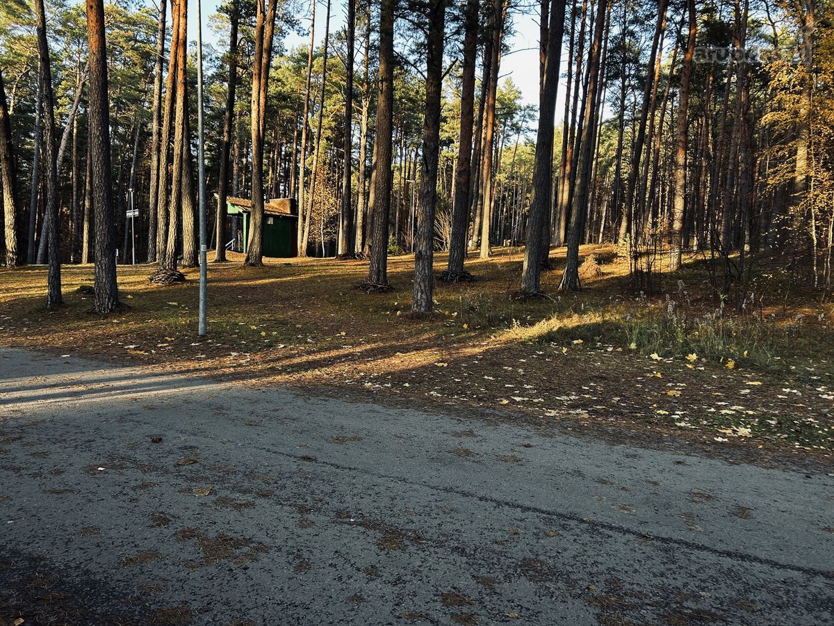 Parduodama Dalis Namo Pušų Apsuptyje - nuotraukos Nr. 6