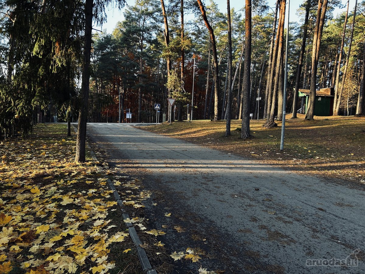 Parduodama Dalis Namo Pušų Apsuptyje - nuotraukos Nr. 7