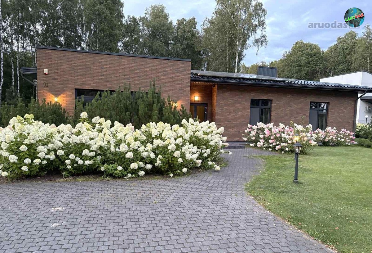 Išskirtinis vieno aukšto namas medžių žalumos