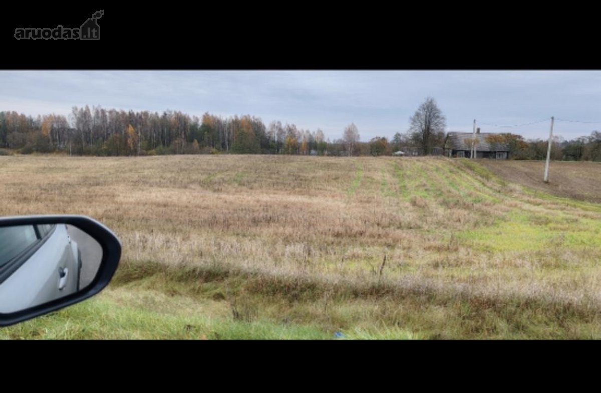 Parduodamas erdvus, net 1,3 hektaro (130 arų) - nuotraukos Nr. 7