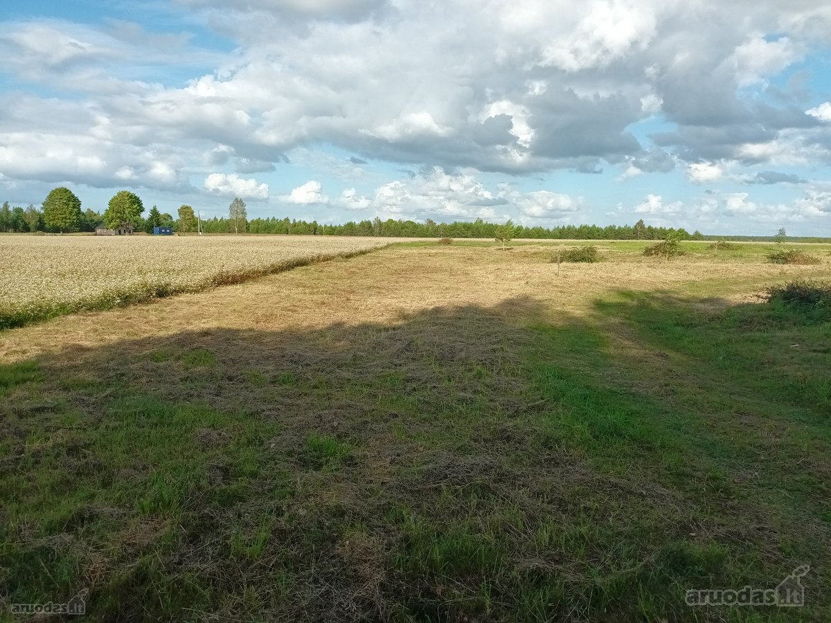 Parduodami namų valdos sklypai prie - nuotraukos Nr. 10