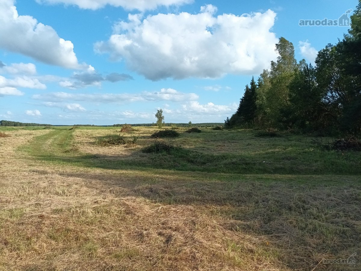 Parduodami namų valdos sklypai prie - nuotraukos Nr. 11