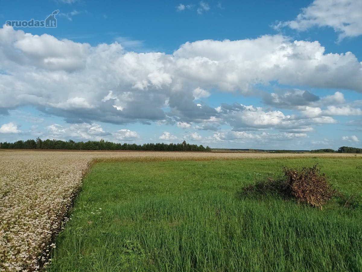 Parduodami namų valdos sklypai prie - nuotraukos Nr. 12