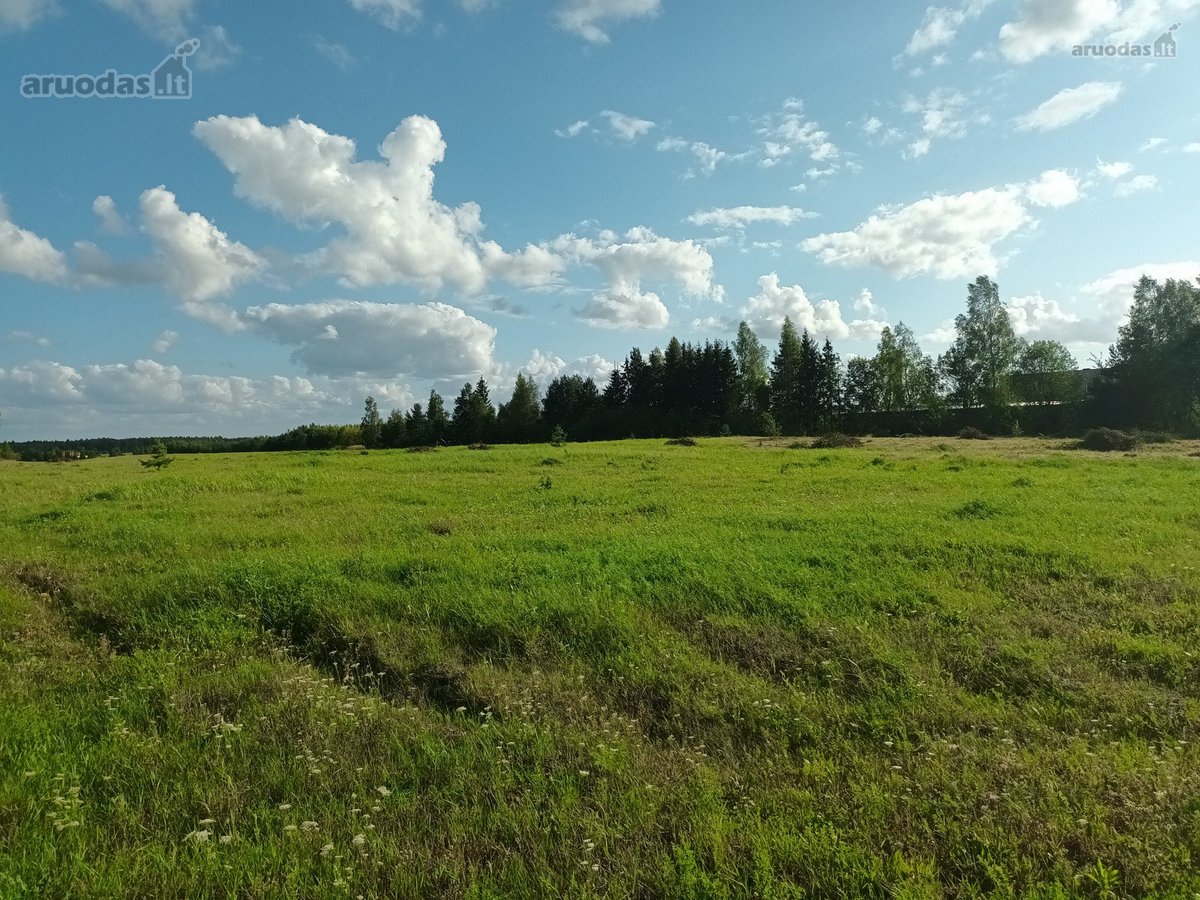 Parduodami namų valdos sklypai prie - nuotraukos Nr. 13