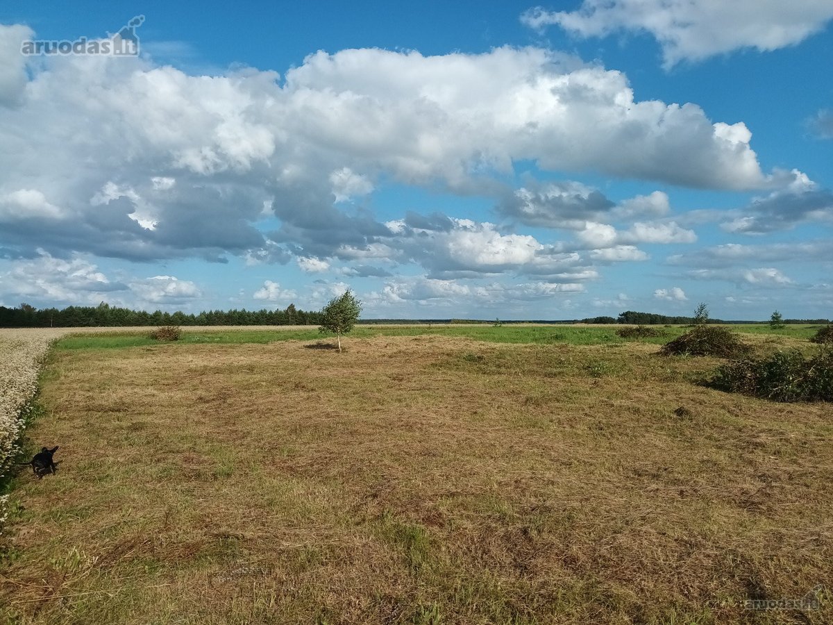 Parduodami namų valdos sklypai prie - nuotraukos Nr. 14
