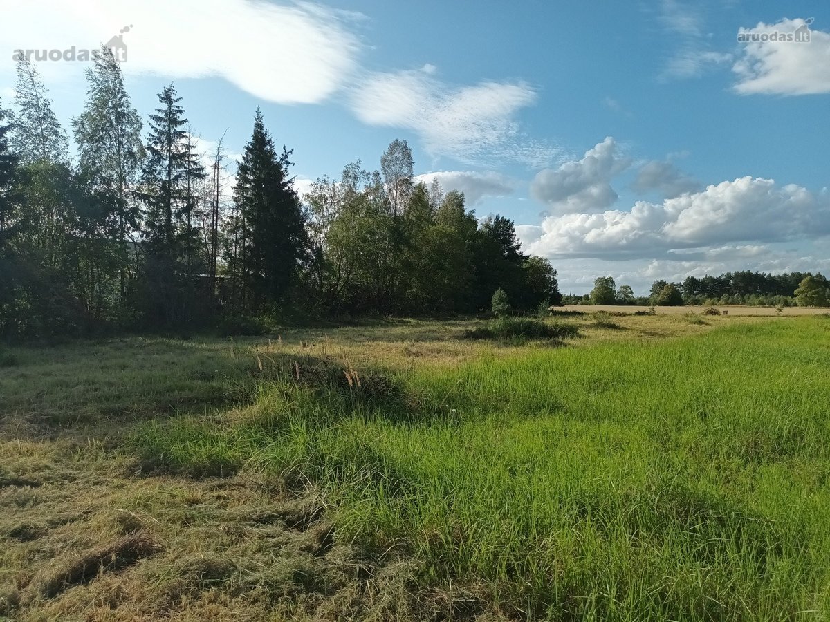 Parduodami namų valdos sklypai prie - nuotraukos Nr. 19