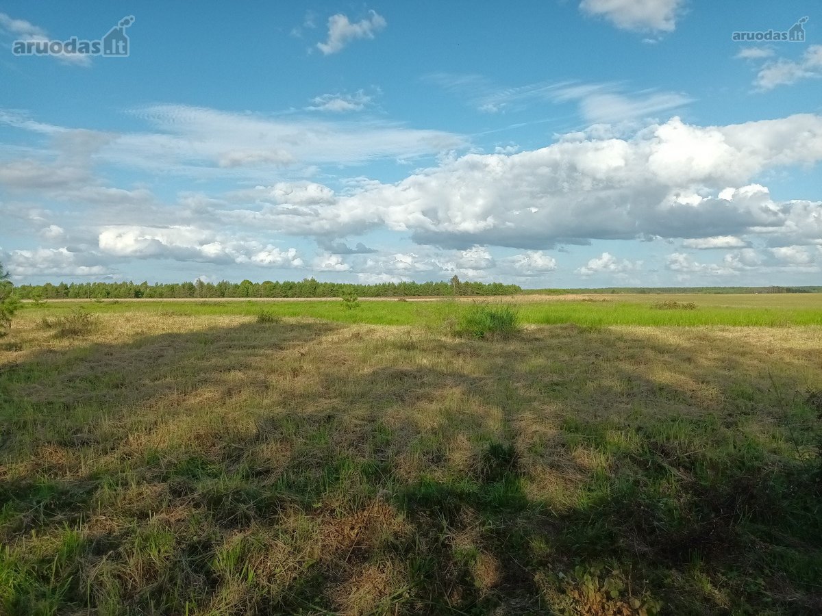 Parduodami namų valdos sklypai prie - nuotraukos Nr. 21