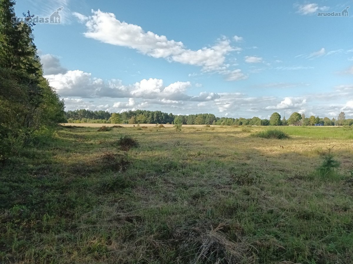 Parduodami namų valdos sklypai prie - nuotraukos Nr. 22