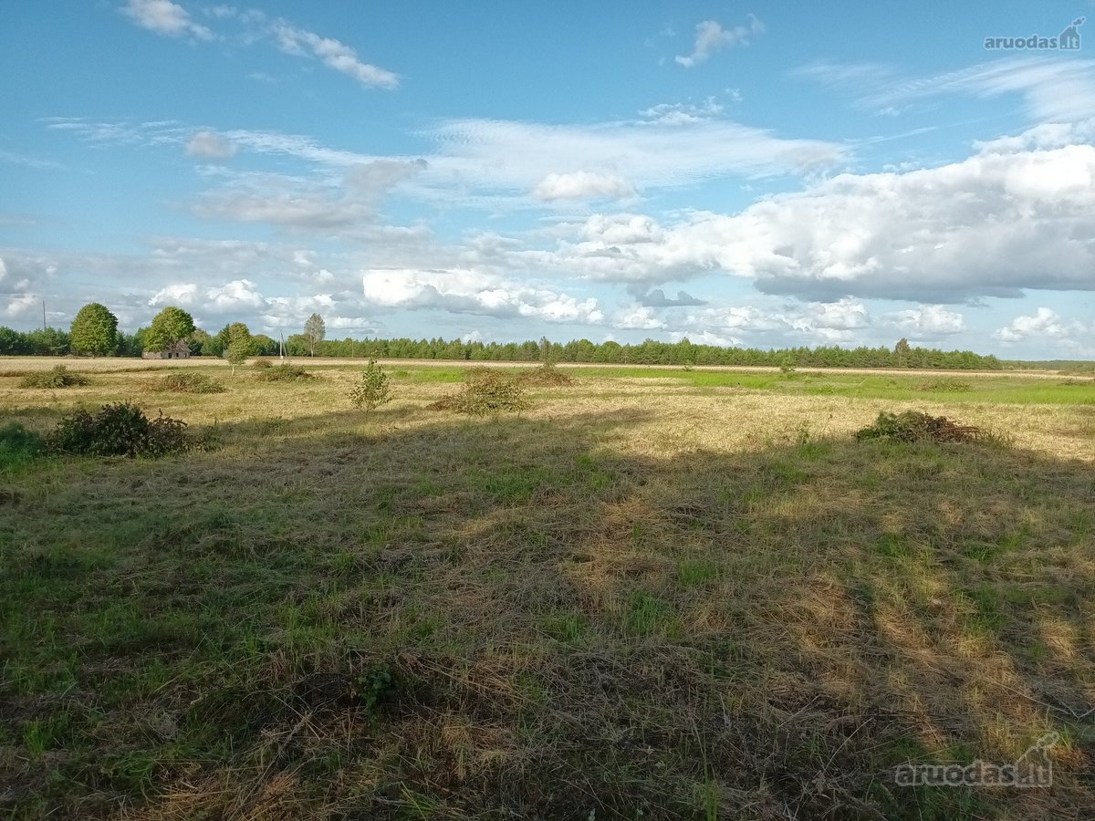 Parduodami namų valdos sklypai prie - nuotraukos Nr. 24