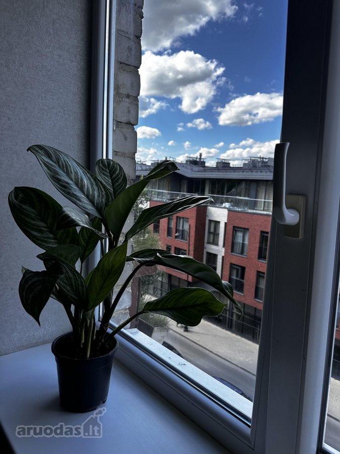 Parduodamas jaukus ir funkcionaliai įrengtas - nuotraukos Nr. 18