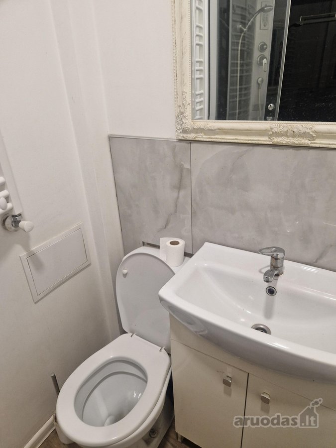 Išnuomojamas 2 kambarių butas su atskira - nuotraukos Nr. 5