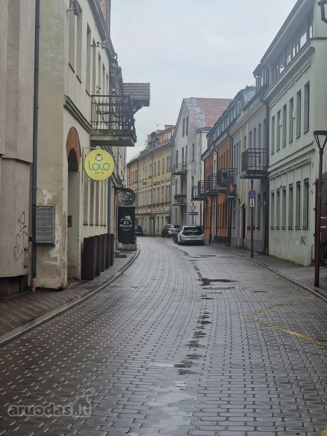 Išnuomojamas 2 kambarių butas su atskira - nuotraukos Nr. 9