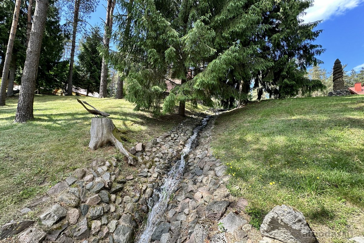 Ukmergės Rajone, Želvos Sen., Prie Makio - nuotraukos Nr. 8