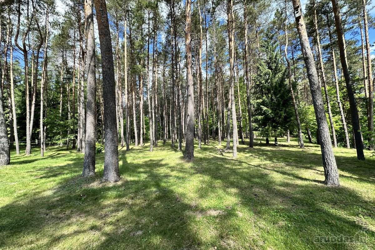 Ukmergės Rajone, Želvos Sen., Prie Makio - nuotraukos Nr. 36