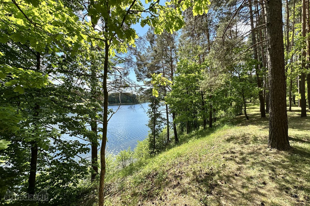 Ukmergės Rajone, Želvos Sen., Prie Makio - nuotraukos Nr. 37