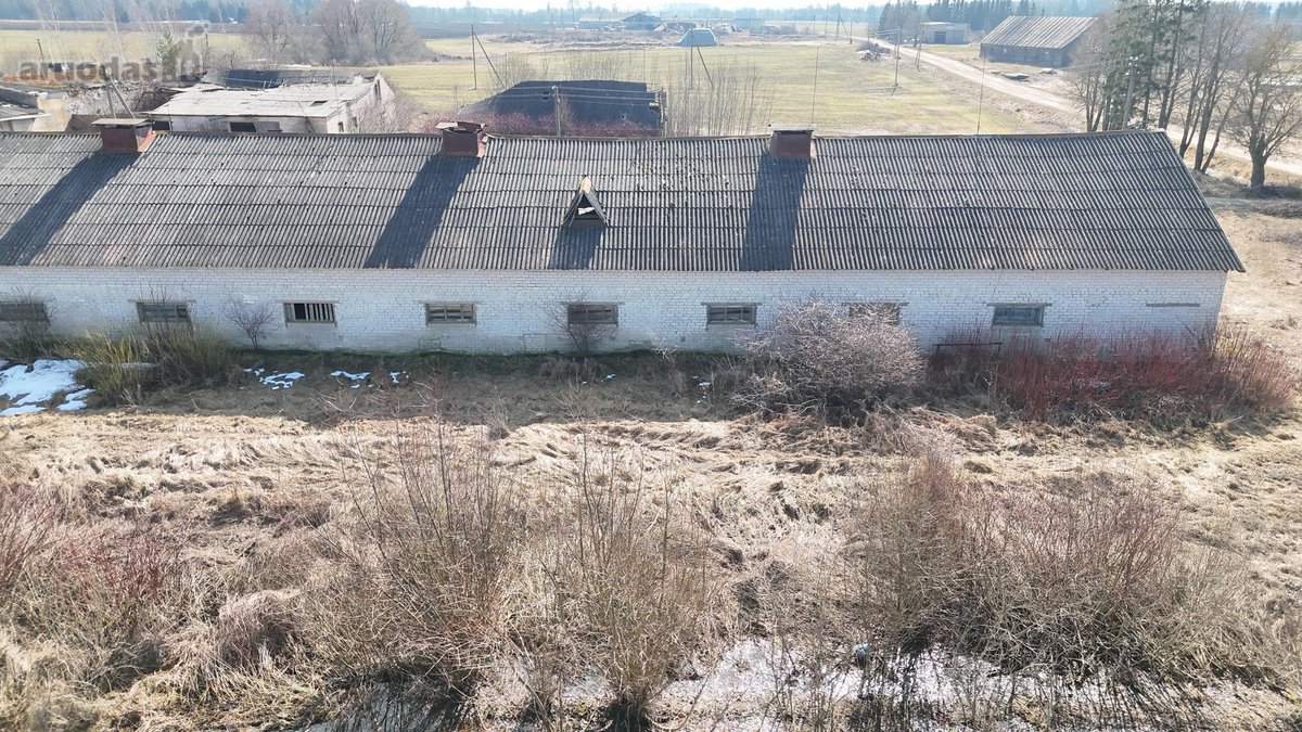 Išnuomojamos labai geros būklės ir tvarkingos - nuotraukos Nr. 2