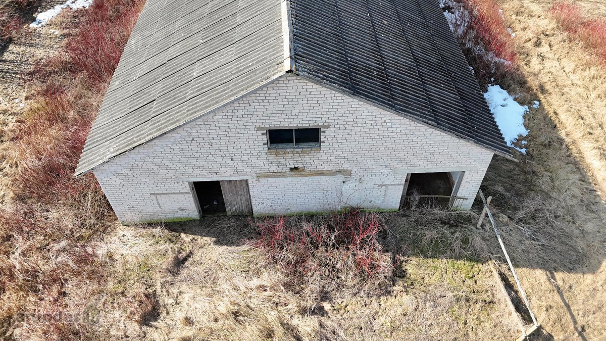 Išnuomojamos labai geros būklės ir tvarkingos - nuotraukos Nr. 3