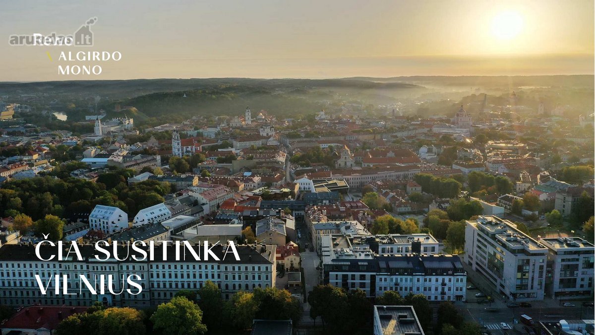 Rewo  Algirdo Mono - erdvės vertę ir - nuotraukos Nr. 10