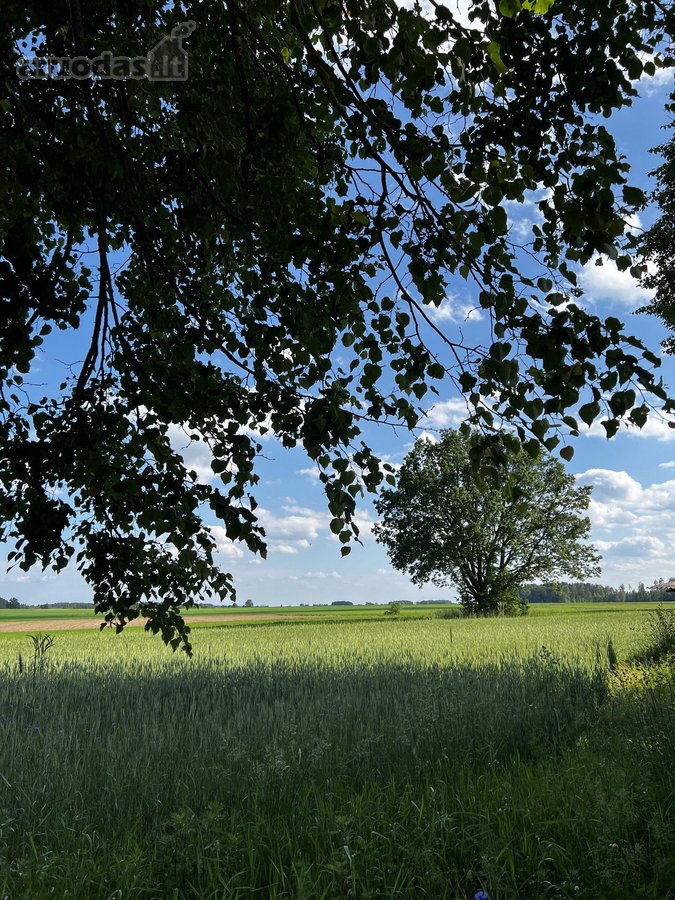 Parduodama jauki sodyba su ūkio paskirties - nuotraukos Nr. 15