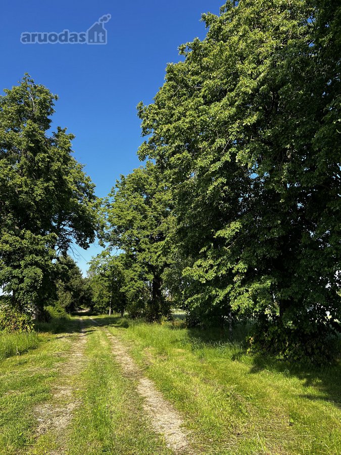 Parduodama jauki sodyba su ūkio paskirties - nuotraukos Nr. 17